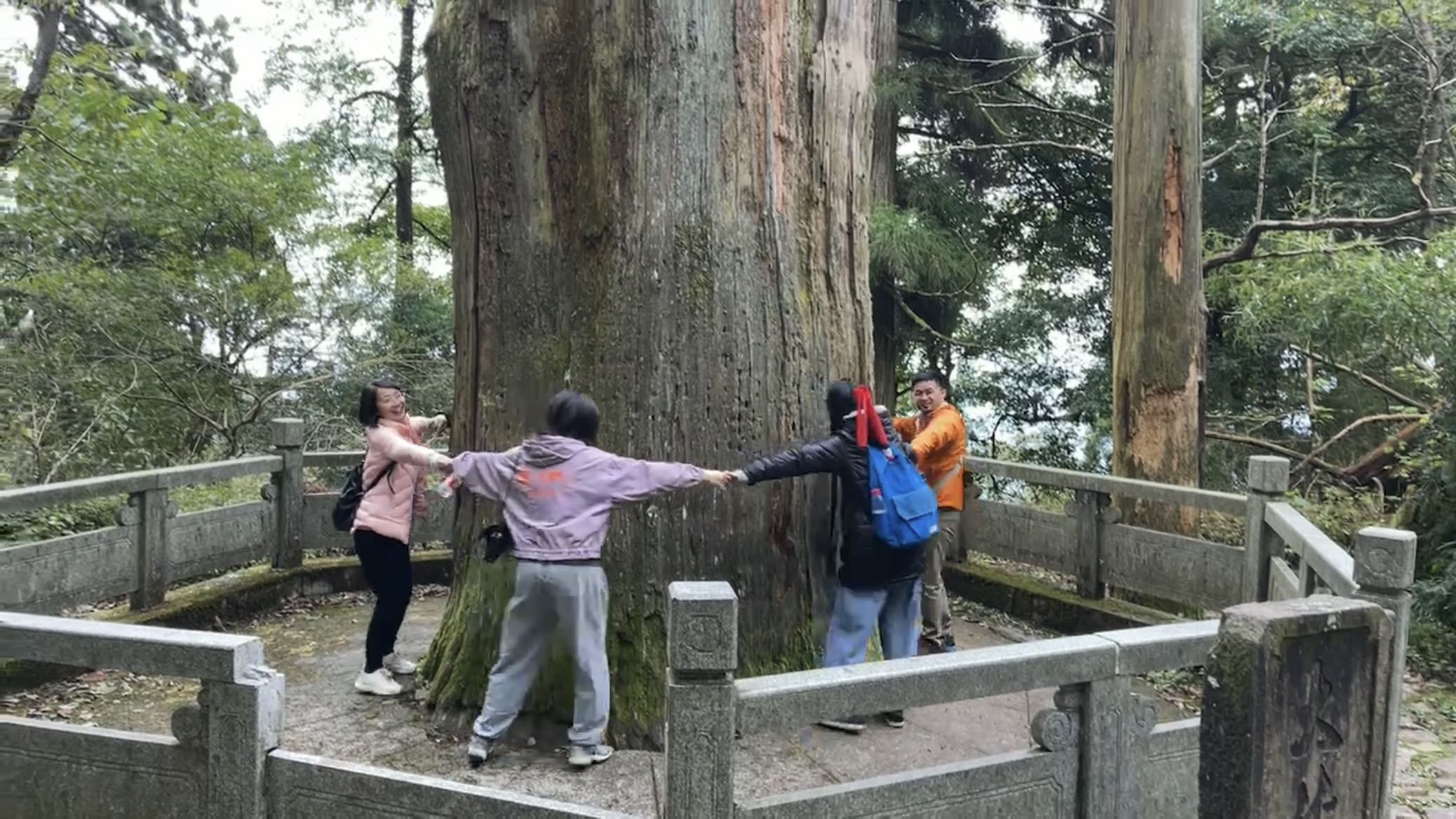 產業聯動 至誠至臻 南方制版臨安交流學習之旅